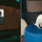 Cyberpunk 2077: Hidden Locations Only Experts Found