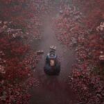 Silent Hill F Review – Spirited Away