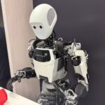 Famed roboticist says humanoid robot bubble is doomed to burst
