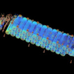 X-ray scans reveal the hidden risks of cheap batteries