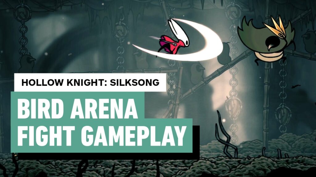 Hollow Knight: Silksong Battle Arena/Locked Room – Birds Fight (Greymoor)