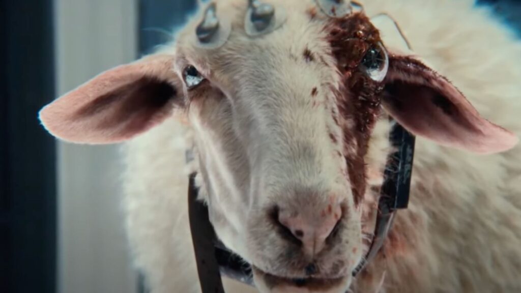 The eyeball alien got no payoff in Alien: Earth’s finale, and I’m mad about it
