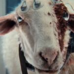 The eyeball alien got no payoff in Alien: Earth’s finale, and I’m mad about it