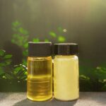 Terra Oleo’s oil-producing microbes could replace destructive palm oil plantations