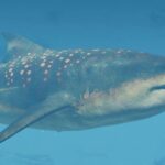 The Megalodon Comes to Jurassic World Evolution 3 — Just Don’t Try Punching It in the Face