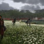 Which Horse To Pick In Ghost Of Yotei