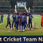 500+ Best Cricket Team Names