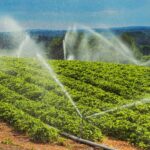 Instacrops will demo its water-saving, crop-boosting AI at TechCrunch Disrupt 2025