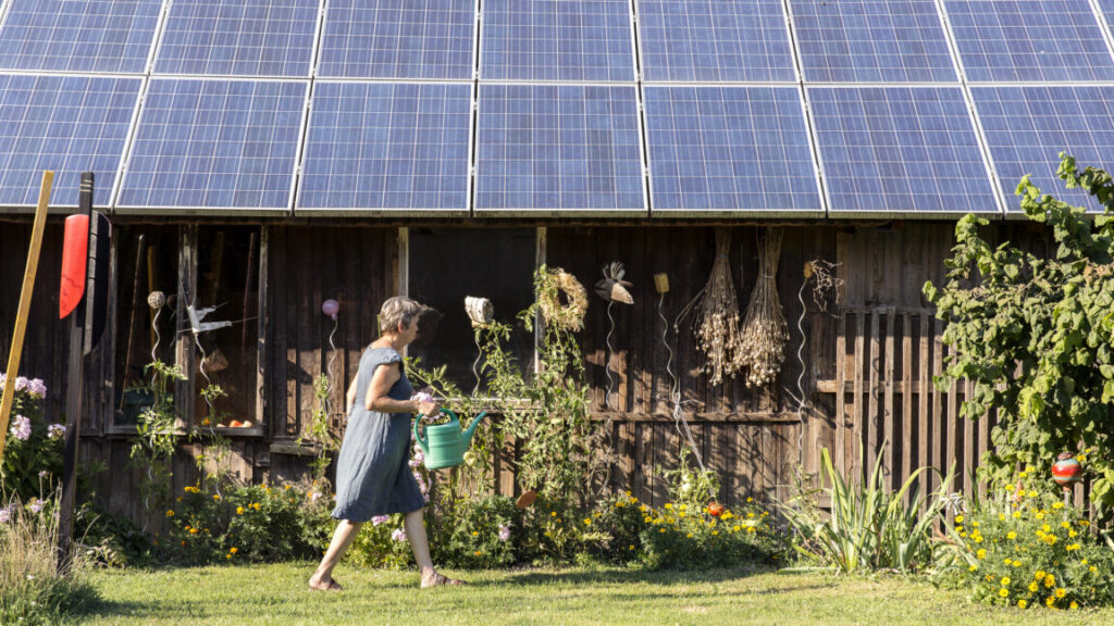Trump’s EPA sued for axing $7 billion solar energy program