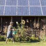 Trump’s EPA sued for axing $7 billion solar energy program