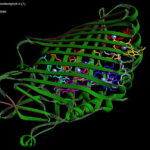 A biological 0-day? Threat-screening tools may miss AI-designed proteins.