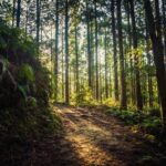 Skyline Nav AI’s software can guide you anywhere, without GPS — find it at TechCrunch Disrupt 2025