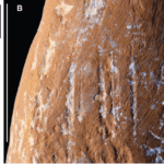 Wear marks suggest Neanderthals made ocher crayons