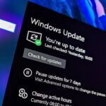 Windows 10 protesters demand free security updates through 2030 to ward off forced obsolescence — Microsoft’s ESU is just a 12-month “snooze button”