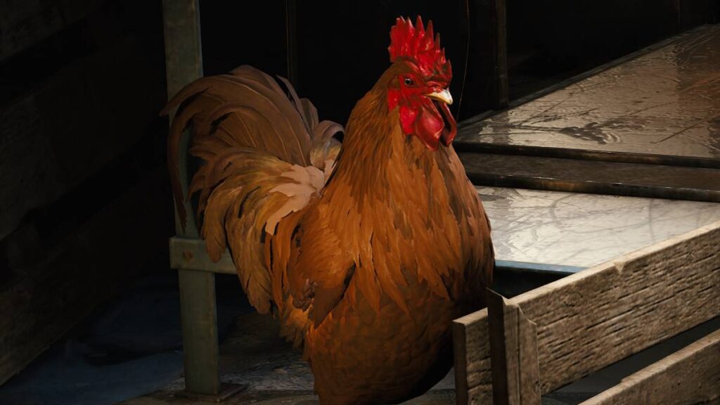 All Scrappy the Rooster Upgrade Items and How To Get Them in ARC Raiders