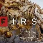 Crimson Desert: How the Golden Star Dragon Boss Was Created