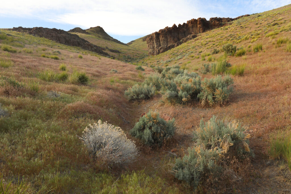 US government takes equity stake in one of the world’s largest lithium mines