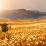 30 Best Open-World Games of All Time (2025 Edition)