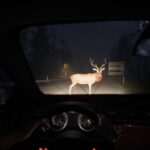 Go Home Annie: An SCP Game – Official PC Update and Console Announcement Trailer