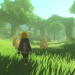 Hyrule Warriors: Age of Imprisonment will take nearly 43 GB of storage