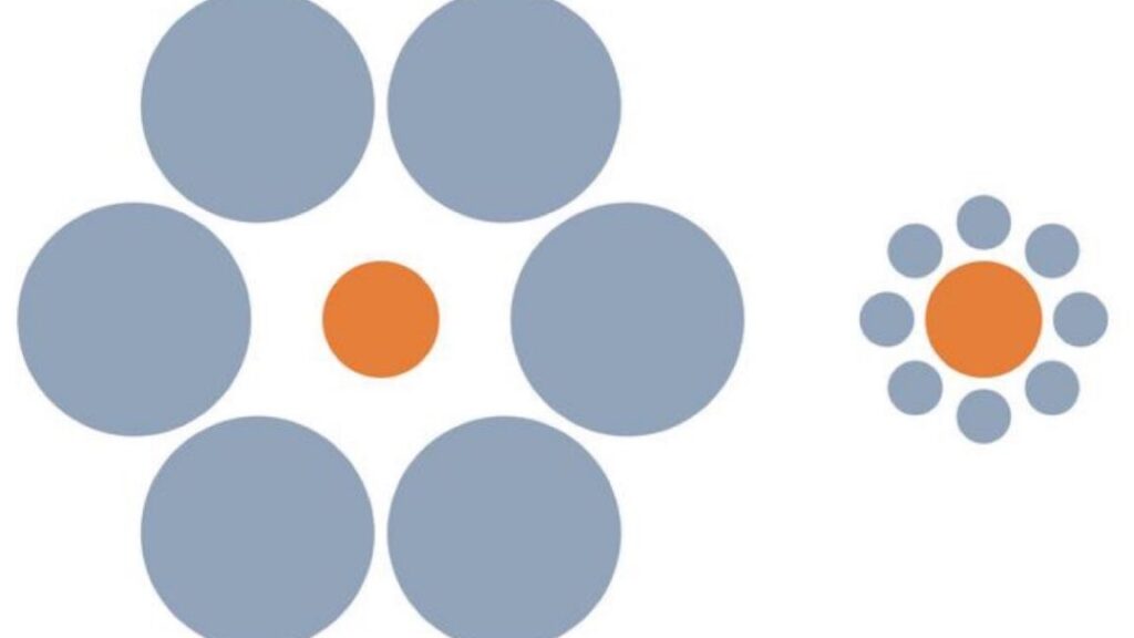 Do animals fall for optical illusions? It’s complicated.