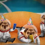 Jackbox CEO isn’t worried about Amazon or Netflix coming for the party game crown