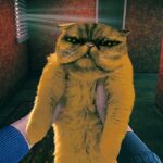 How to Use the Cat in No, I’m Not a Human