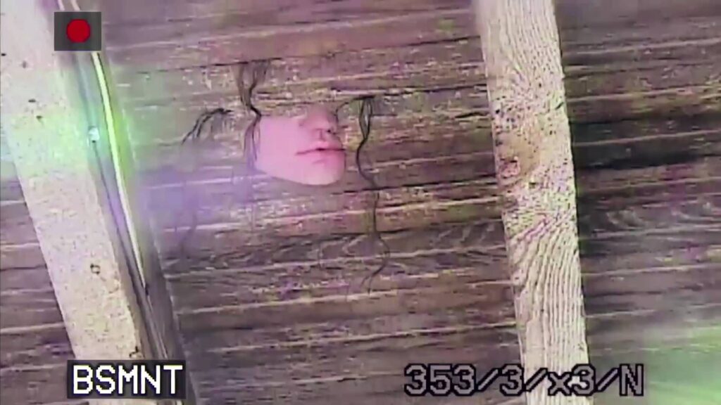 Adult Swim aired one of the scariest videos of all time one random night