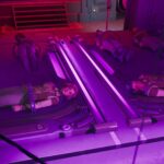 Should you save the hostages in The Outer Worlds 2?