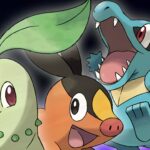 Say Goodbye to These Items in Pokemon Legends: Z-A