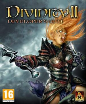 Divinity II: Developer's Cut (GOG) - Image 2