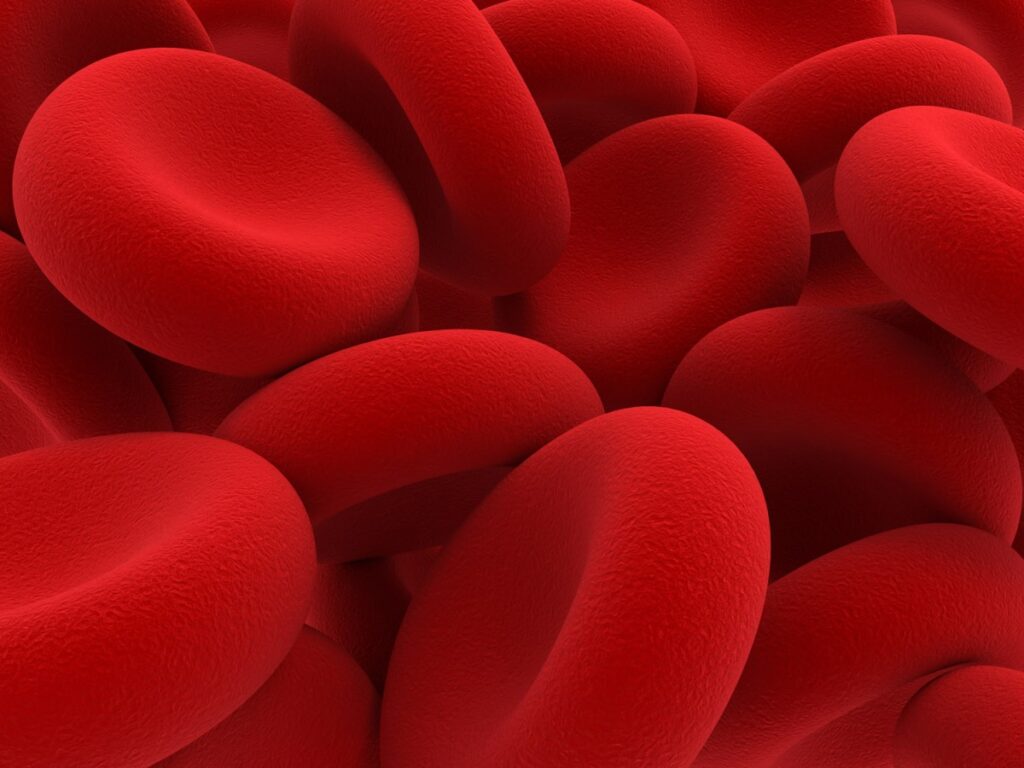 Miraqules will showcase its blood clotting technology at TechCrunch Disrupt 2025