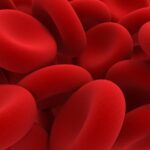 Miraqules will showcase its blood clotting technology at TechCrunch Disrupt 2025