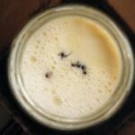 Scientists revive old Bulgarian recipe to make yogurt with ants