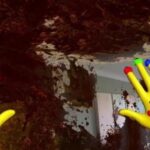 Get Everything Spotless With MR Clean in 2026