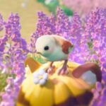 All Rare Bird Locations in Heartopia