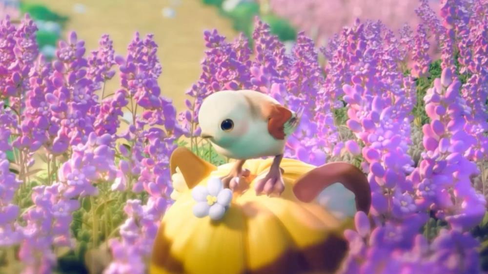 All Rare Bird Locations in Heartopia