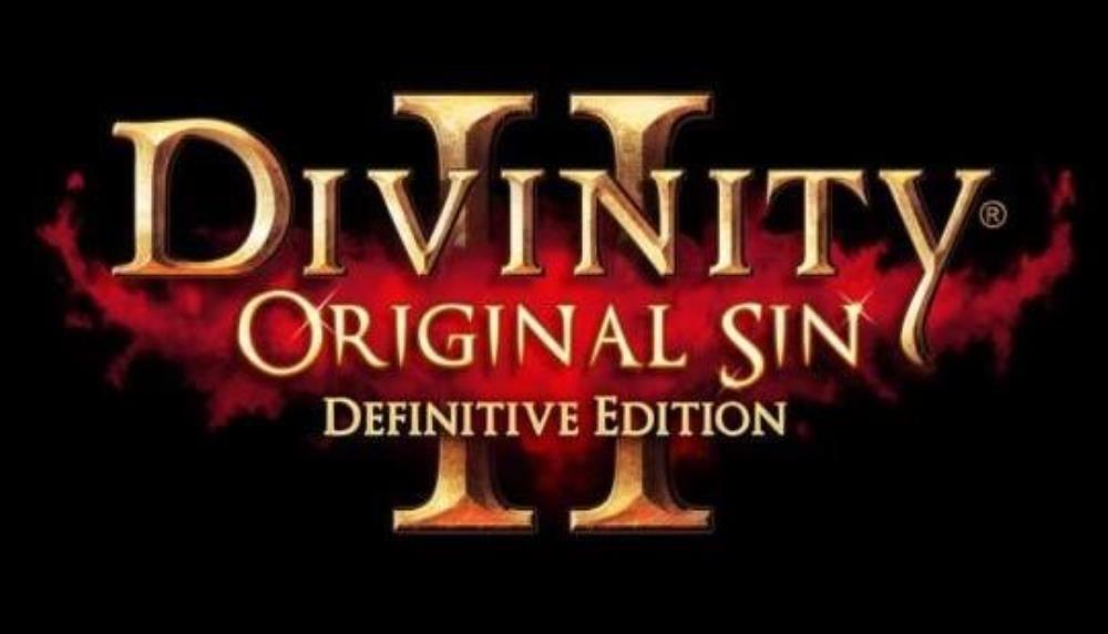 Divinity: Original Sin II  Definitive Edition (PS5) Review | Spawning Point