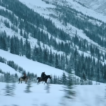 The Last Of Us Season 3 Loses Another Person, Role To Be Recast