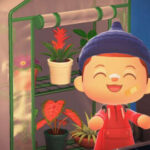 Animal Crossing’s Next Update Has Players Revisiting Long-Deserted Islands