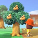 How To Grow Money Trees In Animal Crossing: New Horizons