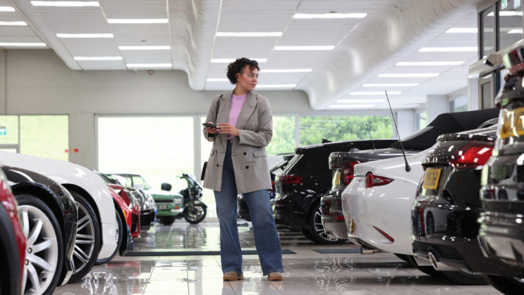 EVs remain a niche choice in the US, according to survey