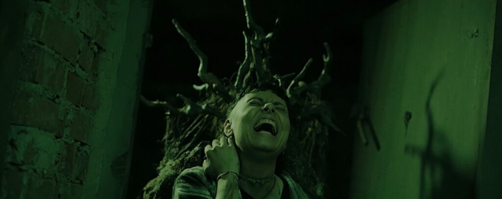 Psychological horror Heart of the Forest release date set for February 12th