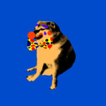 Trump admin admits DOGE employees had access to off-limits Social Security data