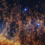 Webb reveals a planetary nebula with phenomenal clarity, and it is spectacular