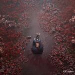 Silent Hill f writer Ryukishi07 explains how the cultish town isn’t just a place now, but a “phenomenon”