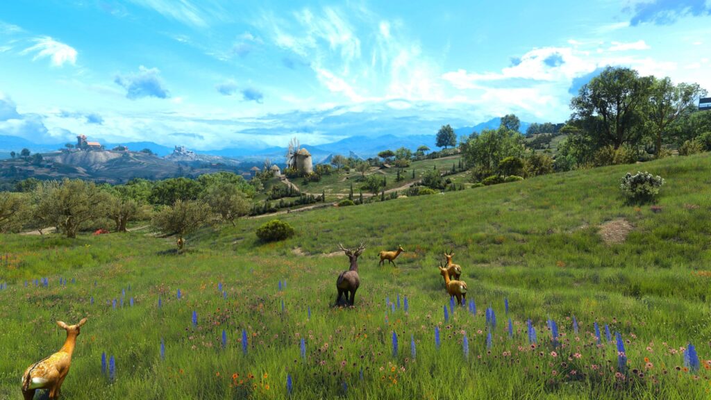 The Witcher 3 Just Got a High-Quality Grass Overhaul Mod