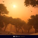 Arc Raiders Headwinds Update ‘Bird City’ Screenshots