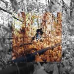 You need to listen to Billy Woods’ horrorcore masterpiece for the A24 crowd