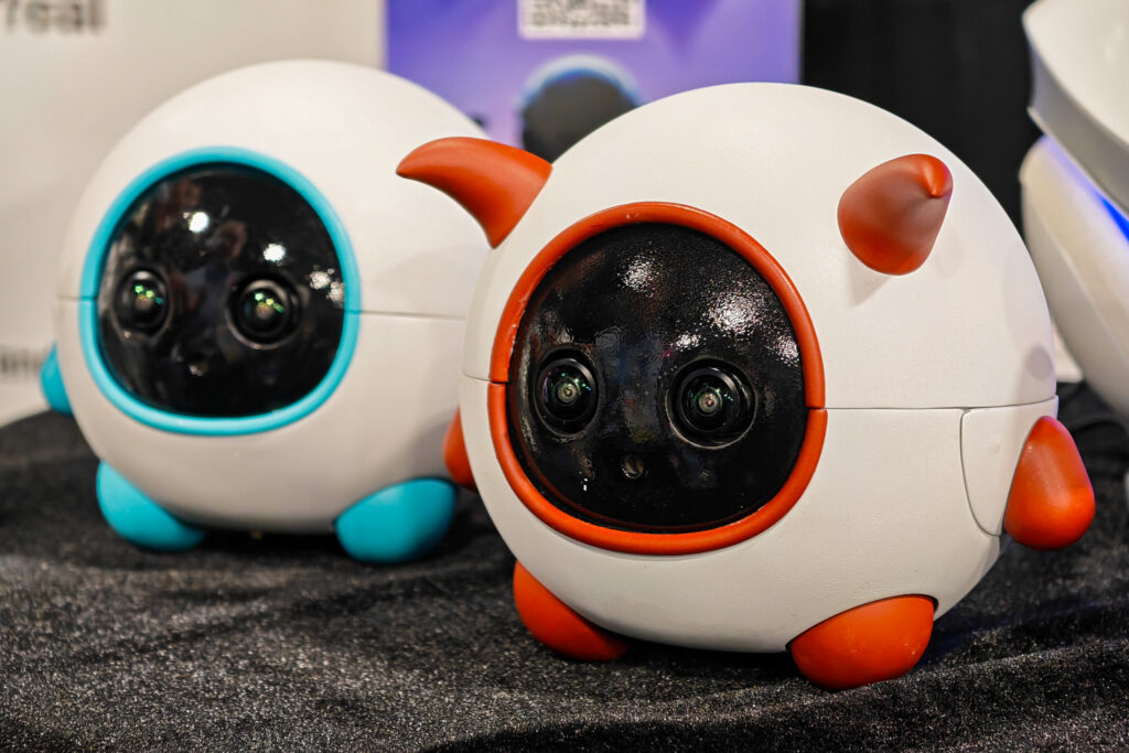 This robot companion is a cameraman for your pet